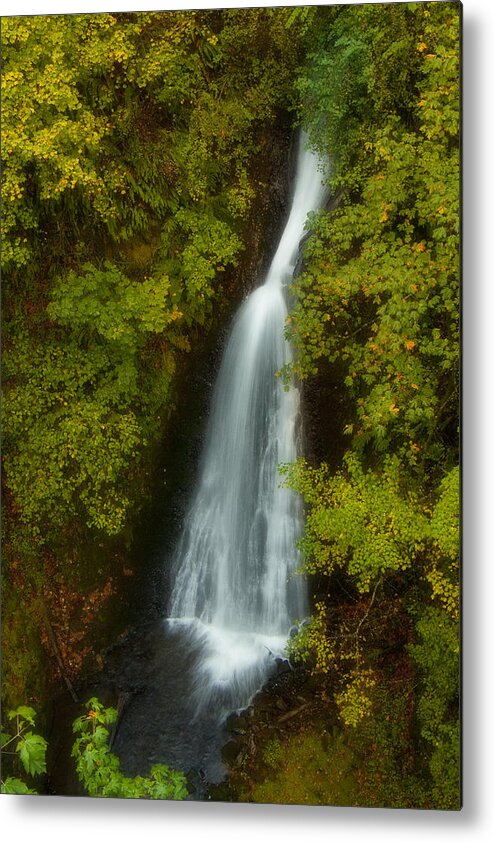 Waterfall Metal Print featuring the photograph Shepperds Dell Dreams by Jon Ares