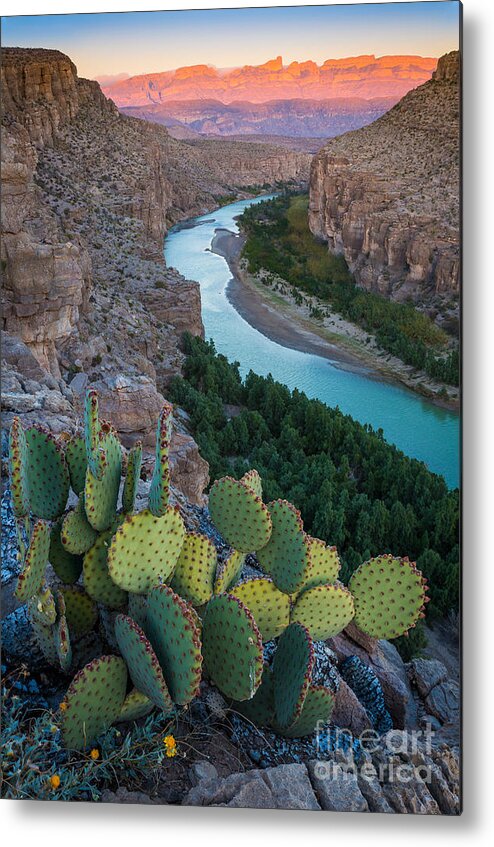 America Metal Print featuring the photograph Sierra del Carmen by Inge Johnsson