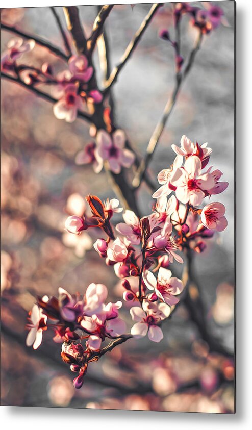 Spring Metal Print featuring the photograph Signs of Spring by Joshua Minso