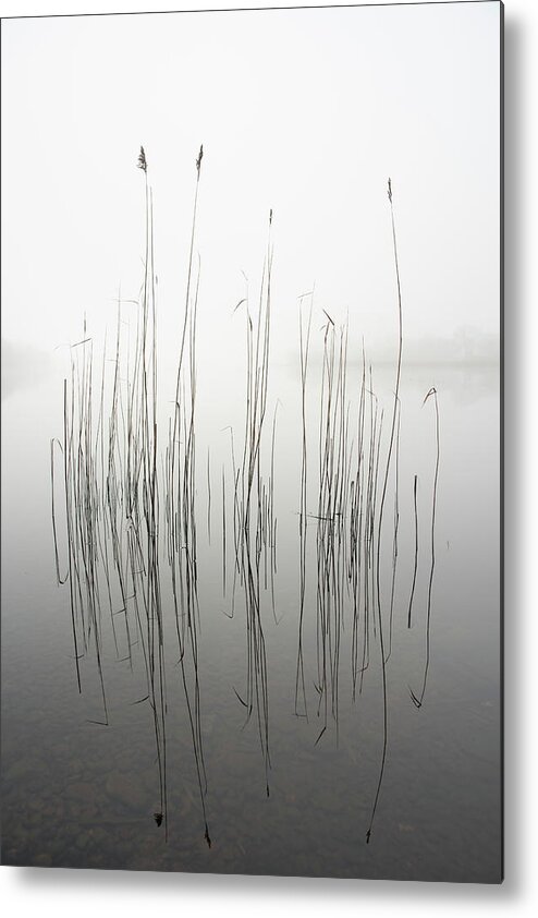 Zen Metal Print featuring the photograph Silence by David Ahern