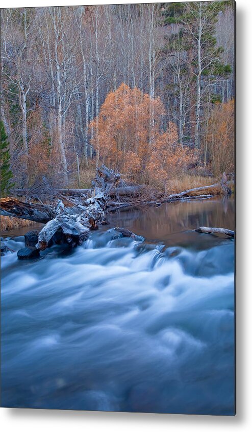 Nature Metal Print featuring the photograph Silence Of The Fall by Jonathan Nguyen