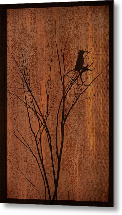 Silhouette Metal Print featuring the photograph Silhouette by Barbara Manis