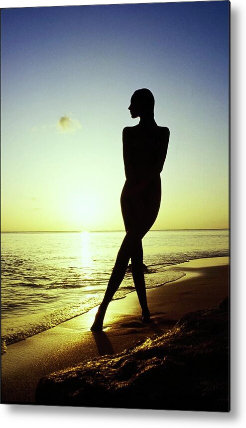 Beauty Metal Print featuring the photograph Silhouette Of Marisa Berenson Nude by Arnaud de Rosnay