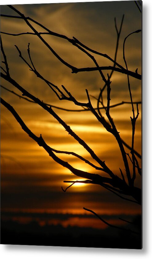 Silhouette Sunset Metal Print featuring the photograph Silhouette Sunset by Tikvah's Hope