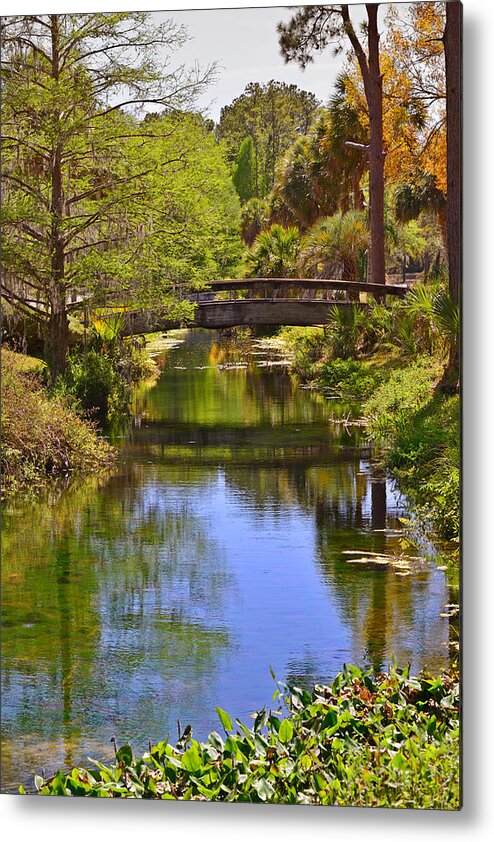 Silver Metal Print featuring the photograph Silver Springs Florida by Alexandra Till