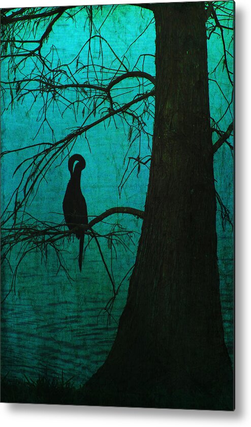 Art Photography Metal Print featuring the photograph Singular Anhinga by Kandy Hurley