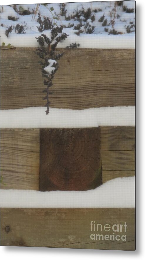 Snow Metal Print featuring the photograph Snow Art I by Anita Adams