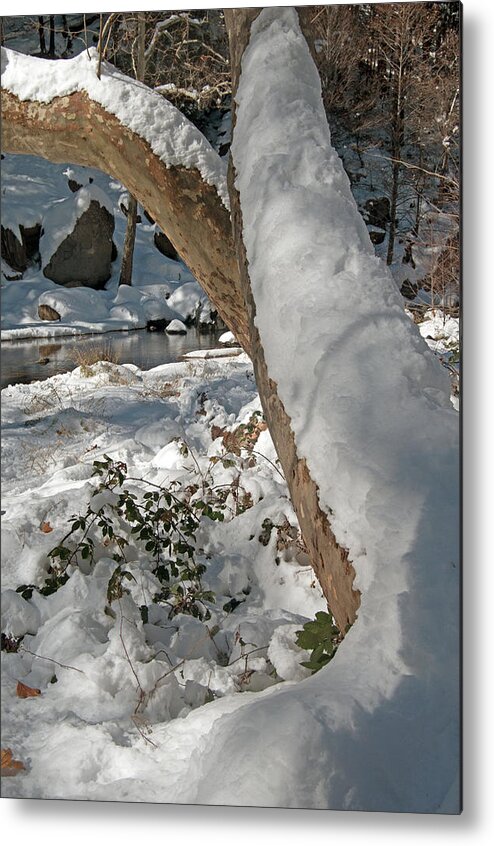 Snow Metal Print featuring the photograph Snow Capped by Tam Ryan