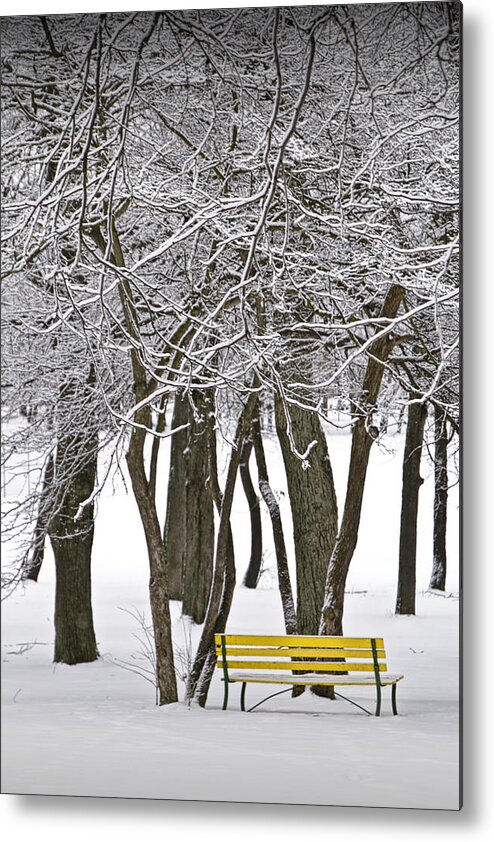 Snow Metal Print featuring the photograph Snowfall at Garfield Park with Yellow Park Bench No. 1069 by Randall Nyhof