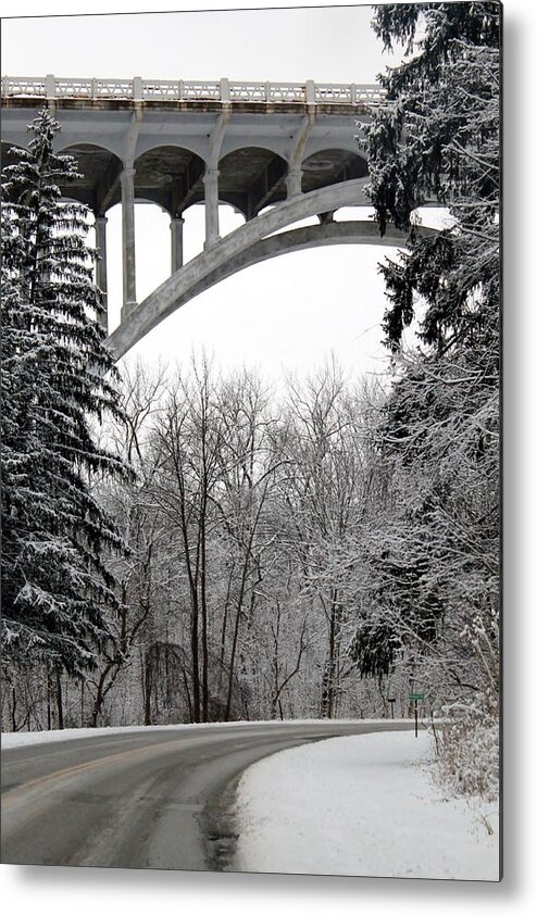 Landscape Metal Print featuring the photograph Snowy Day by Wendy Gertz