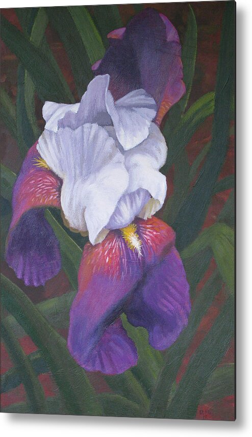 Iris Metal Print featuring the painting Soft Violet by Don Morgan