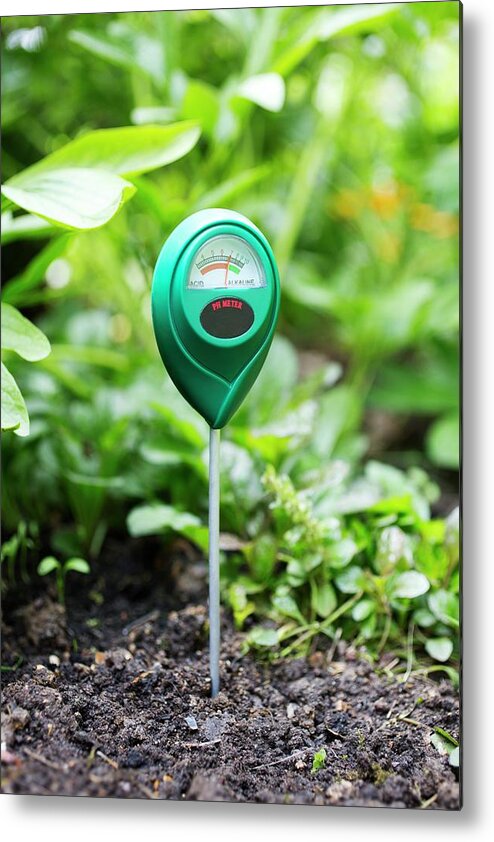 Soil Metal Print featuring the photograph Soil Ph Meter by Science Photo Library