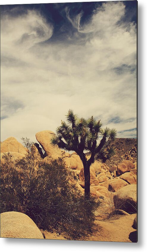 Joshua Tree National Park Metal Print featuring the photograph Solitary Man by Laurie Search