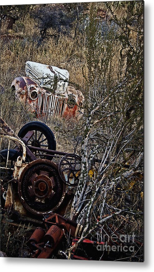 Leecraig Metal Print featuring the photograph Some Ford in the Weeds by Lee Craig