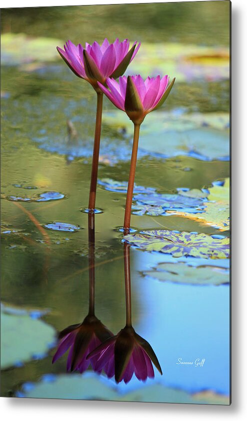 Lotus Metal Print featuring the photograph Soul Mates by Suzanne Gaff