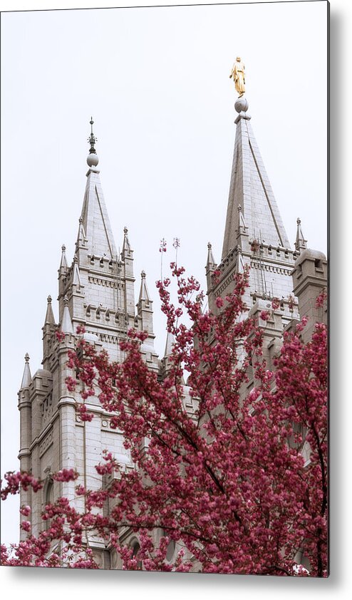 Spring At The Temple Metal Print featuring the photograph Spring at the Temple by Chad Dutson