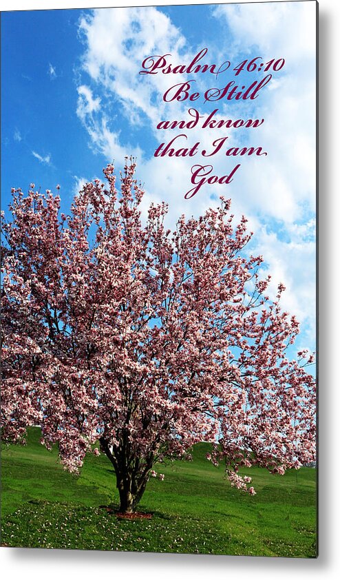 Magnolia Tree Metal Print featuring the photograph Spring Blossoms with Scripture by Lorna Rose Marie Mills DBA Lorna Rogers Photography
