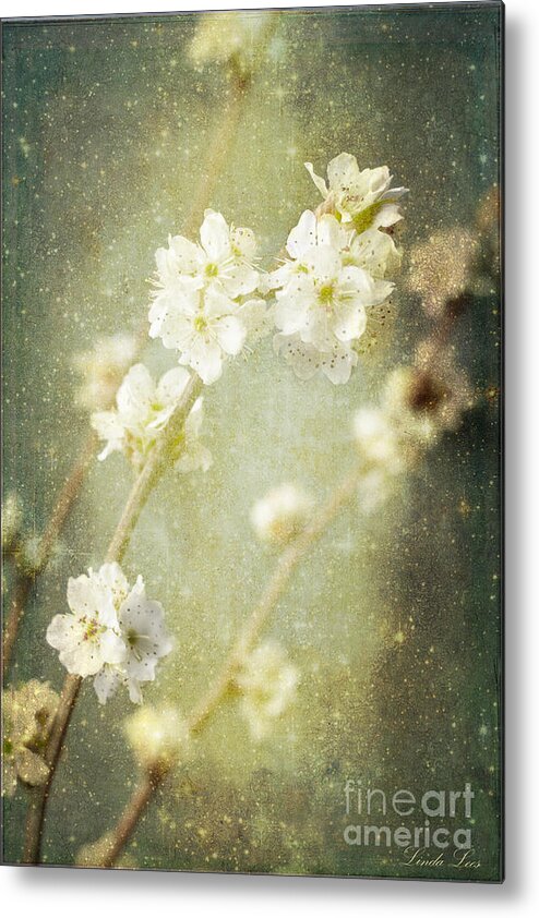  Blossom Metal Print featuring the photograph Spring's Enchantment by Linda Lees