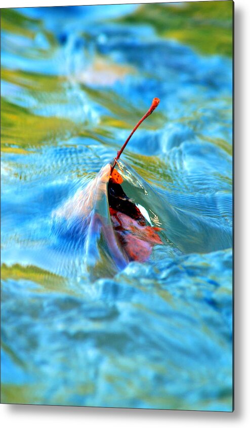  Metal Print featuring the photograph Standing Alone by Kim Blaylock