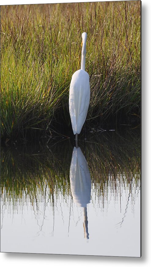 Bird Metal Print featuring the photograph Standing Tall by Bruce Gourley