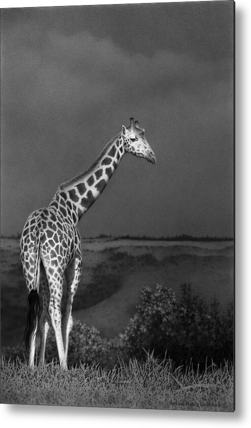 Africa Metal Print featuring the drawing Standing Tall by Stirring Images