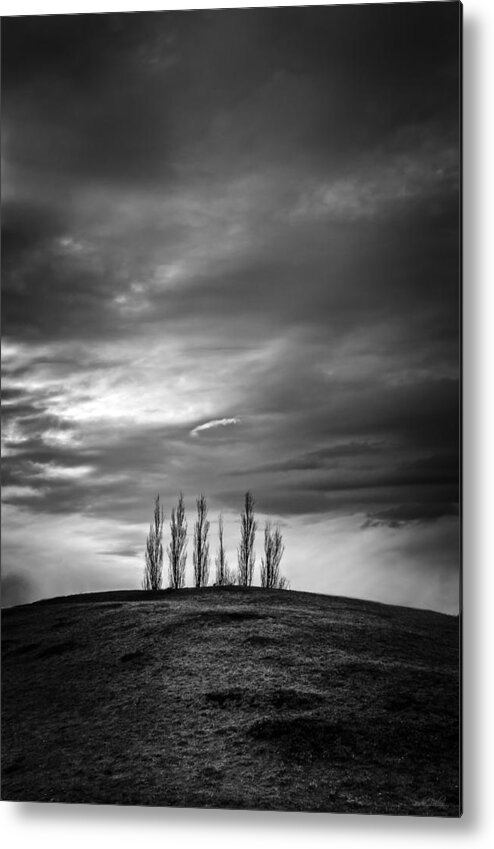 Trees Metal Print featuring the photograph Standing Up by Sandra Parlow