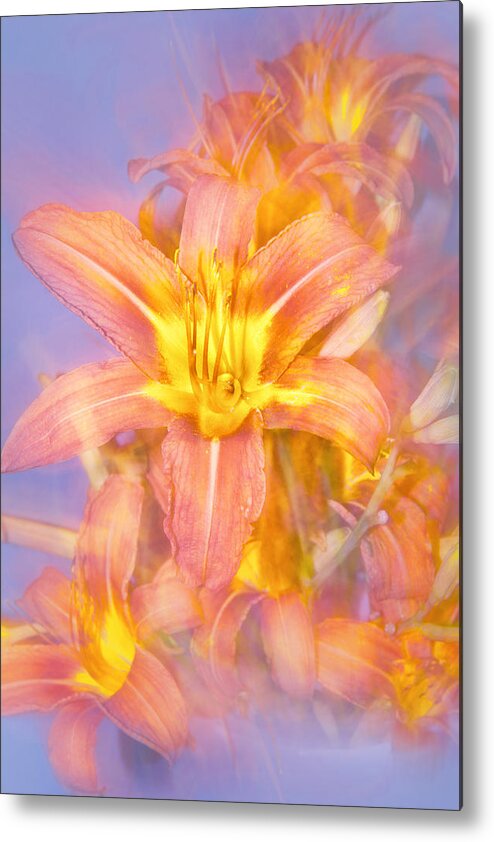 Starburst Lily Metal Print featuring the photograph Starburst Lily by Mary Almond