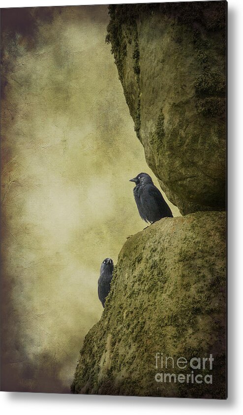 England Metal Print featuring the photograph Stonehenge Birds by Clare Bambers