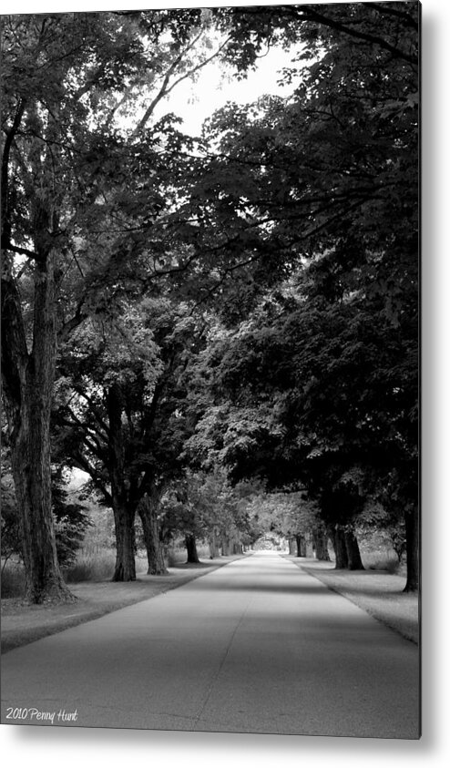 Summertime River Oaks Park Metal Print featuring the photograph Summertime River Oaks Park by Penny Hunt