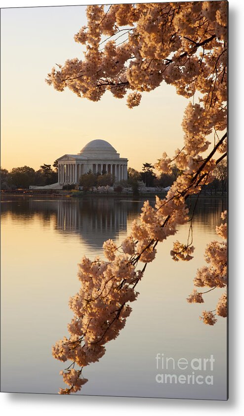 Washington Dc Metal Print featuring the photograph Sunrise over Jefferson Memorial by Brian Jannsen