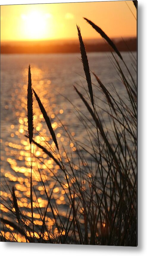 Sunset Metal Print featuring the photograph Sunset Beach by Athena Mckinzie