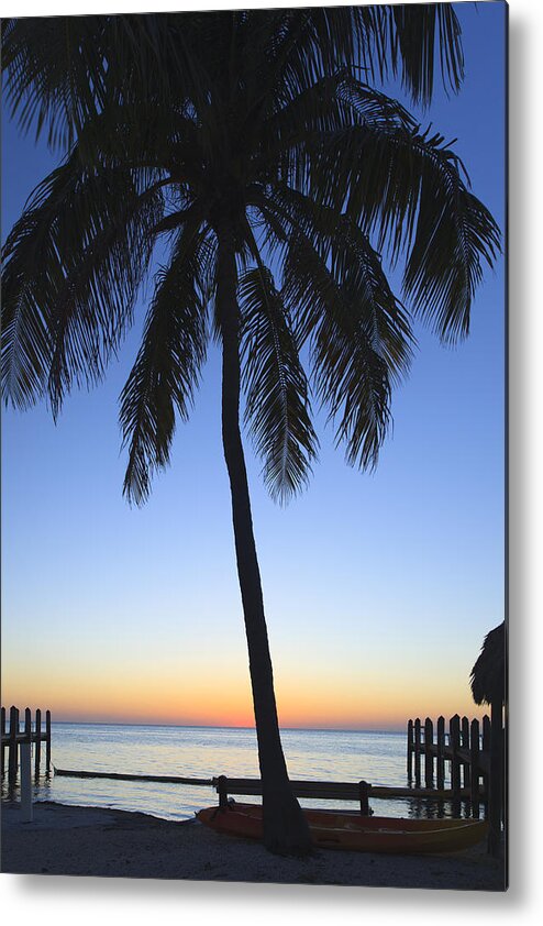 Bayshore Metal Print featuring the photograph Sunset Palm by Raul Rodriguez