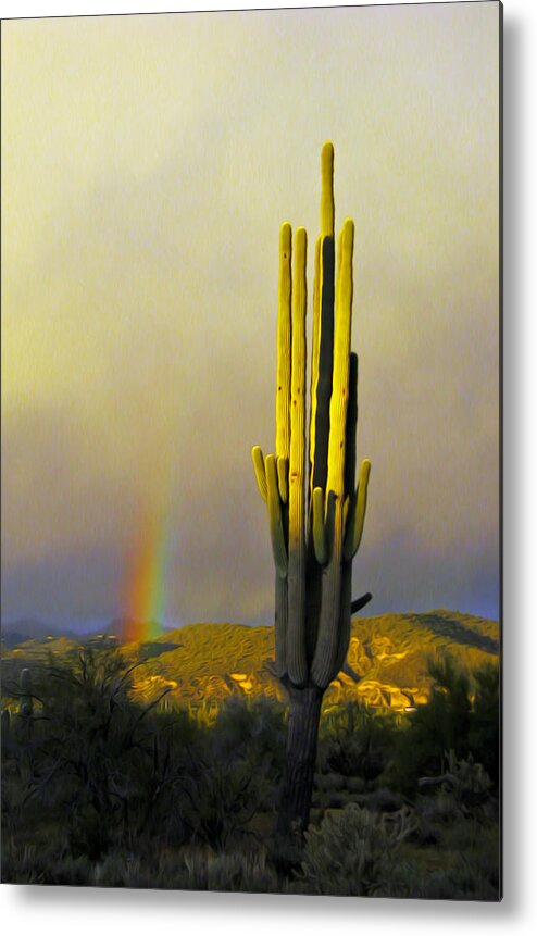 Cactus Metal Print featuring the photograph Sunset Rainbow Cactus by John Haldane