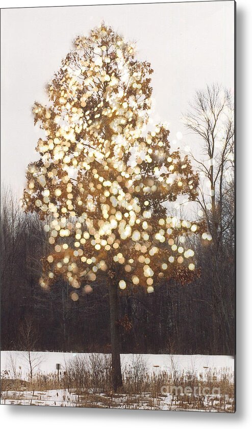 Beautiful Nature Photos Metal Print featuring the photograph Surreal Fantasy Tree Nature Sparkling Lights by Kathy Fornal