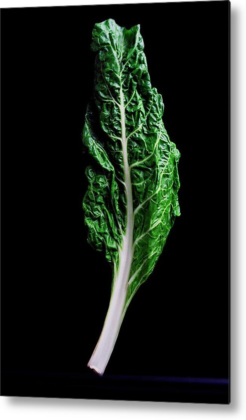 Fruits Metal Print featuring the photograph Swiss Chard by Romulo Yanes