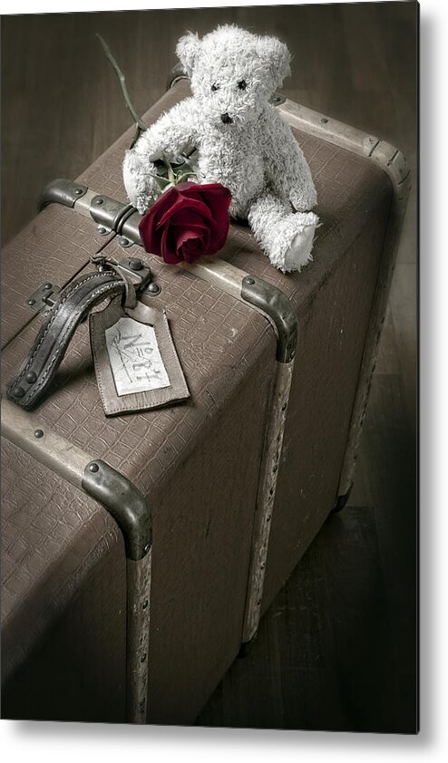 Rose Metal Print featuring the photograph Teddy Wants To Travel by Joana Kruse