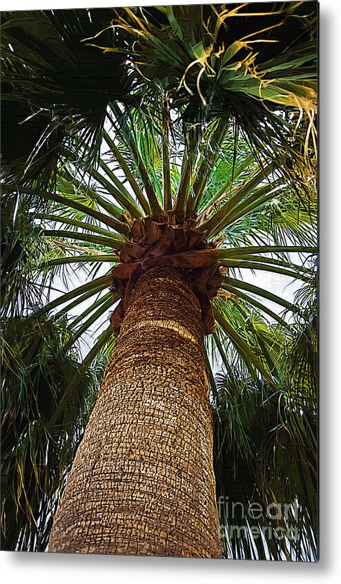 Palm-trees Metal Print featuring the digital art The Big Palm by Kirt Tisdale