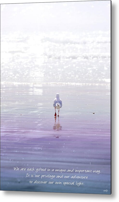 Seagull Metal Print featuring the photograph The Chosen One by Holly Kempe