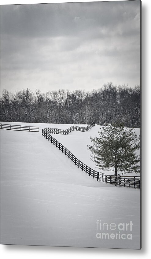 Beautiful Metal Print featuring the photograph The Color Of Winter - BW by Mary Carol Story