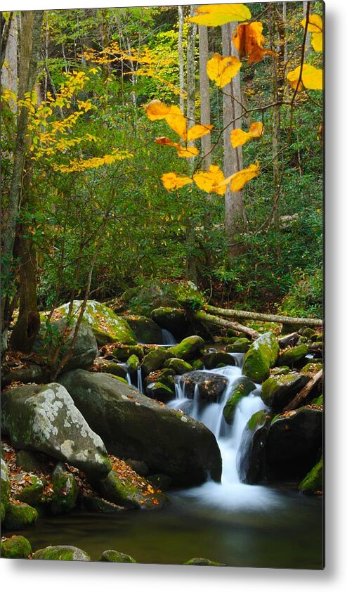 Art Prints Metal Print featuring the photograph The Colors of Autumn by Nunweiler Photography