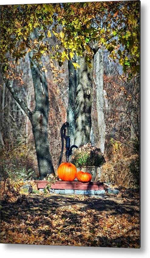 Nature Metal Print featuring the photograph The Colors Of November by Tricia Marchlik