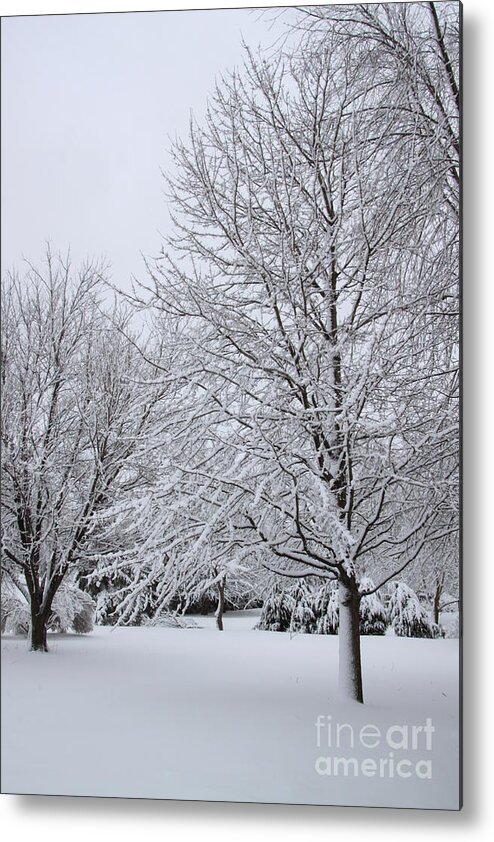 Winter Metal Print featuring the photograph The distance of winter by Jennifer E Doll