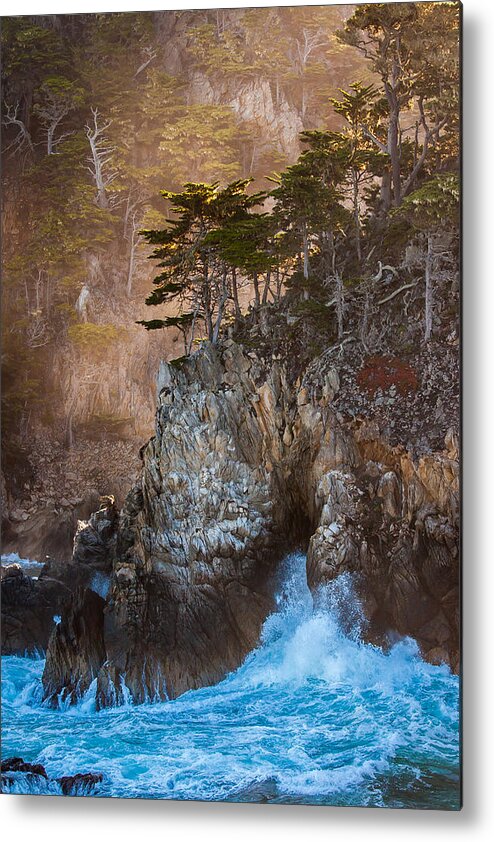 Nature Metal Print featuring the photograph The Enemy at the Wall by W Chris Fooshee
