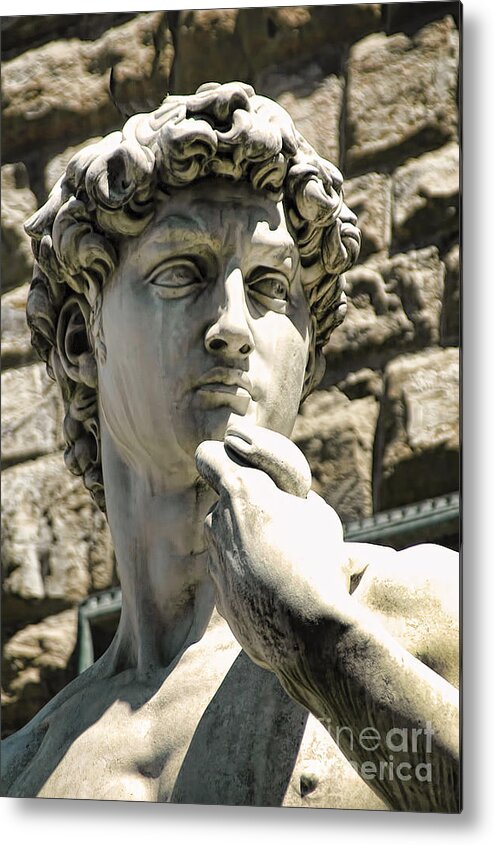 Florence Metal Print featuring the photograph The Face of David by Brenda Kean