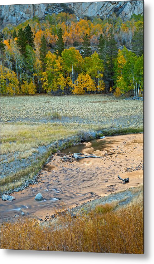 Landscape Metal Print featuring the photograph The Golden Stream by Jonathan Nguyen