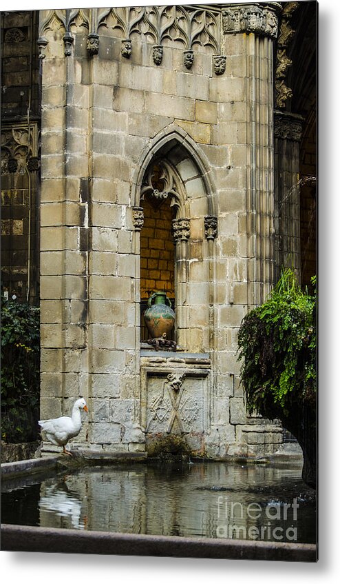 Cathedral Of The Holy Cross And Saint Eulalia Metal Print featuring the photograph The Goose and the Urn by Deborah Smolinske