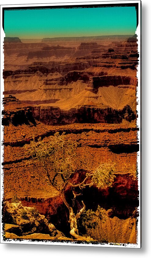 Grand Canyon Metal Print featuring the photograph The Grand Canyon Vintage Americana VI by David Patterson