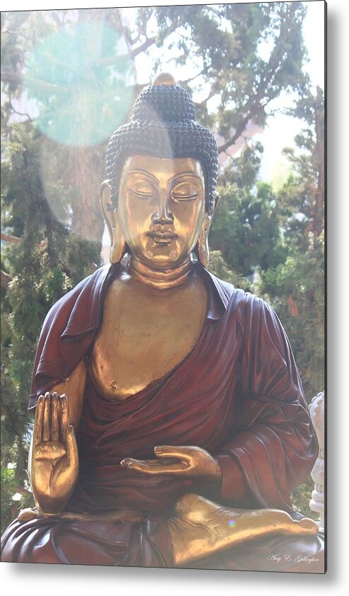 Mystical Metal Print featuring the photograph The Mystical Golden Buddha by Amy Gallagher