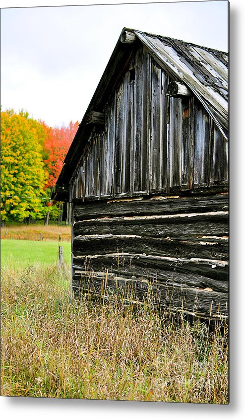 Weathed Wood Metal Print featuring the photograph The Old Back Shed by Gwen Gibson