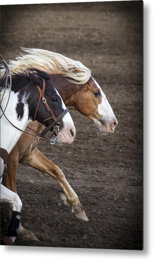 Horses Metal Print featuring the photograph The Outlaw And The Law by Caitlyn Grasso